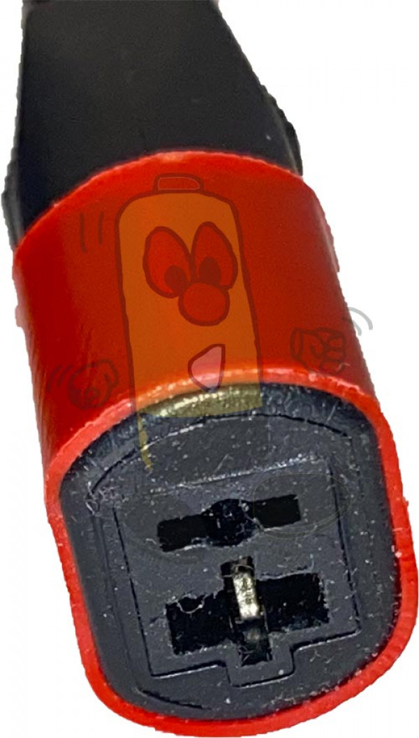 JLDP.11